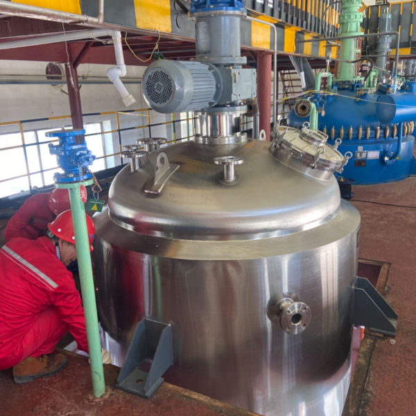 pressure reactor vessel